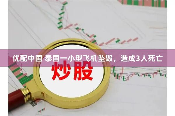 优配中国 泰国一小型飞机坠毁，造成3人死亡